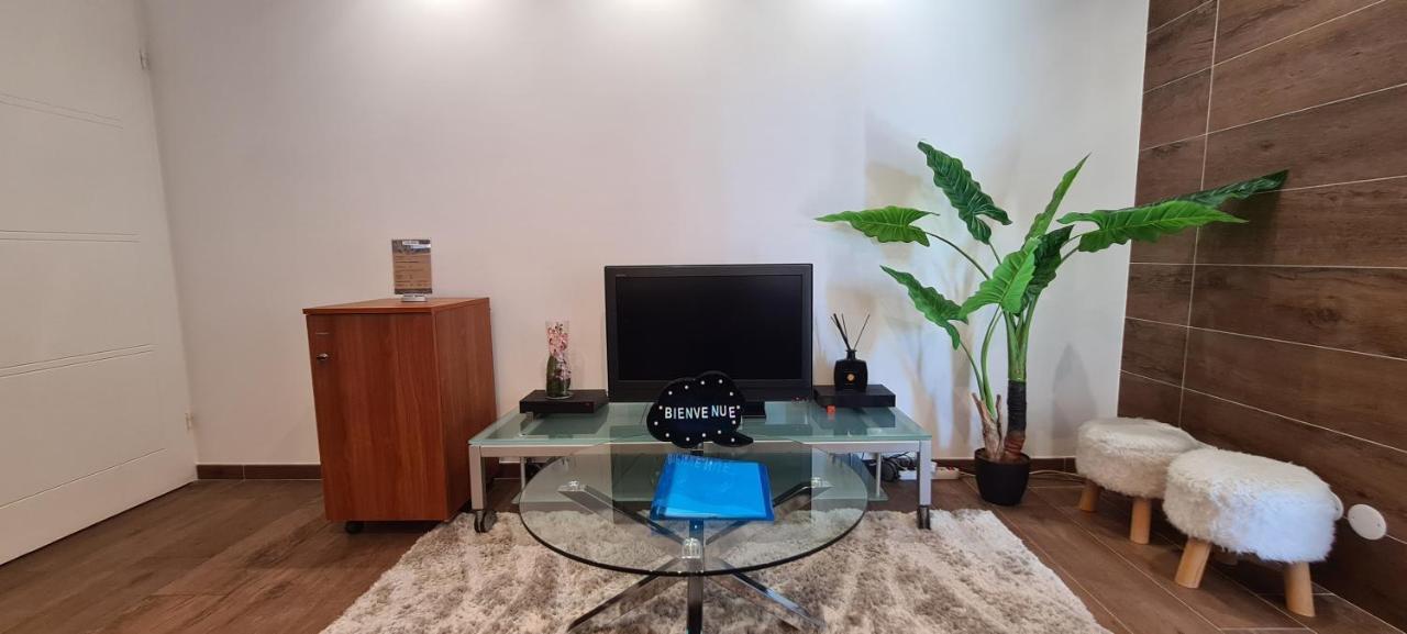 Apartmán Le Cocon Du Leman Viry  Exteriér fotografie
