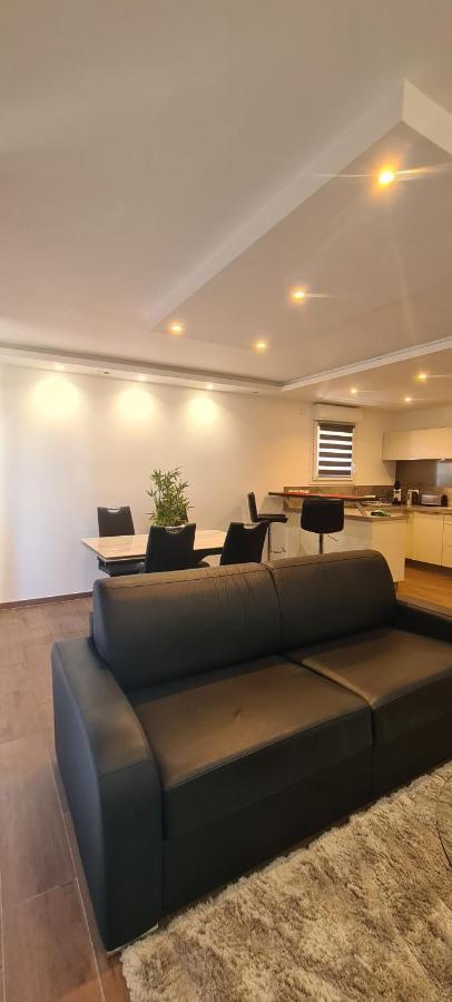 Apartmán Le Cocon Du Leman Viry  Exteriér fotografie