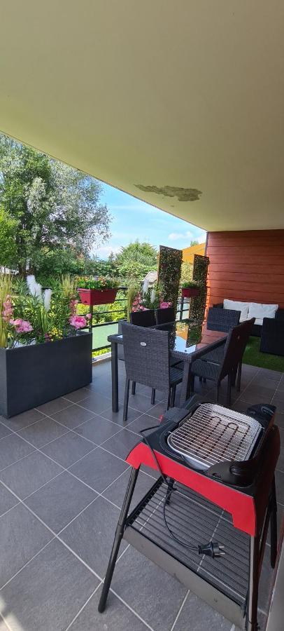 Apartmán Le Cocon Du Leman Viry  Exteriér fotografie