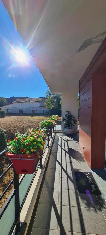 Apartmán Le Cocon Du Leman Viry  Exteriér fotografie
